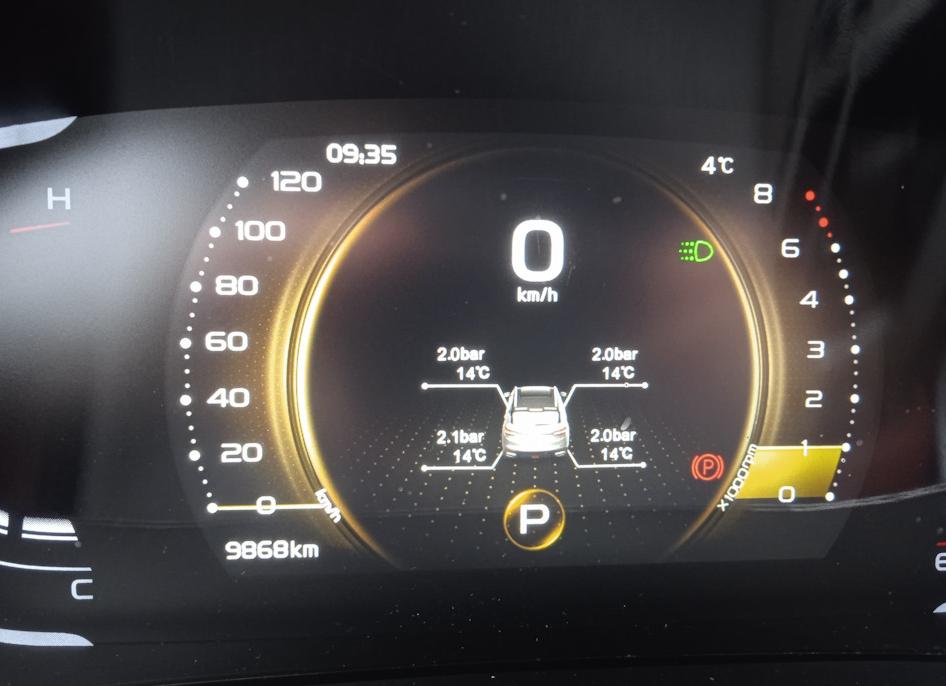 Ошибки Geely Coolray: аутентификации, tpms, svs, auto hold.