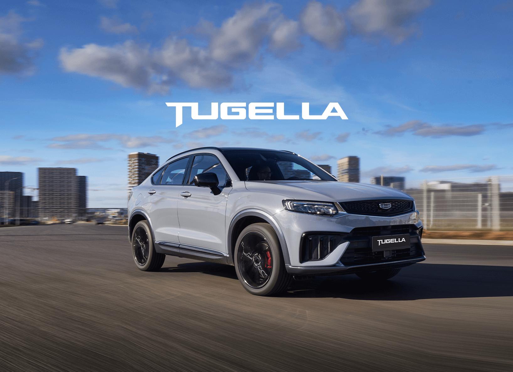 Описание знаков на приборной панели автомобиля Tugella